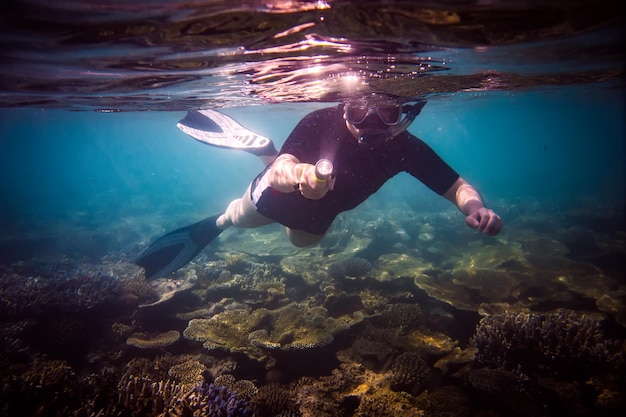 Snorkeler mergulhando ao longo do coral-cérebro com lanterna