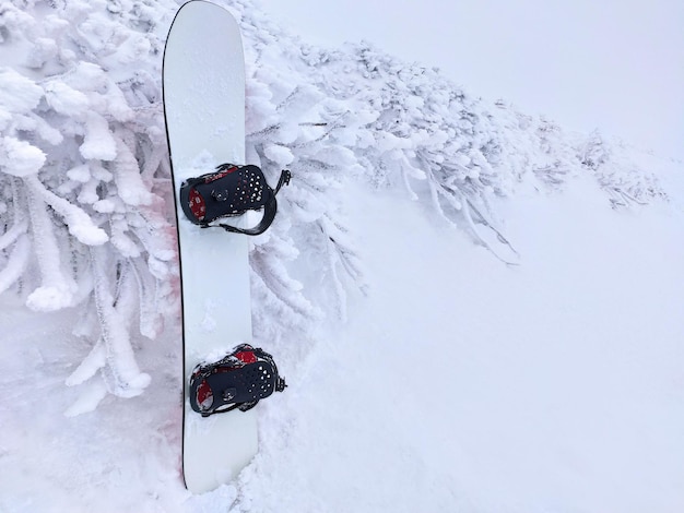 Snowboard em pé na neve no fundo de plantas congeladas