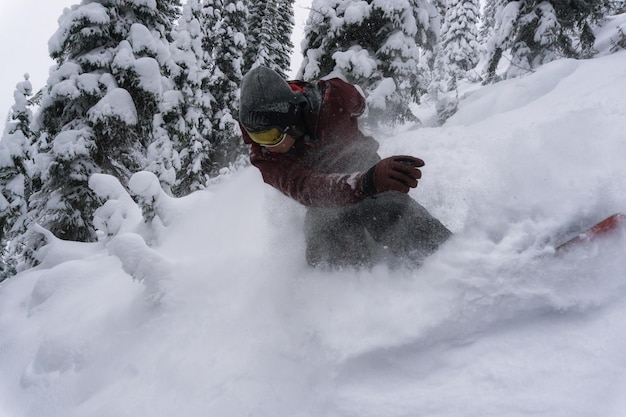 Snowboard na neve fresca