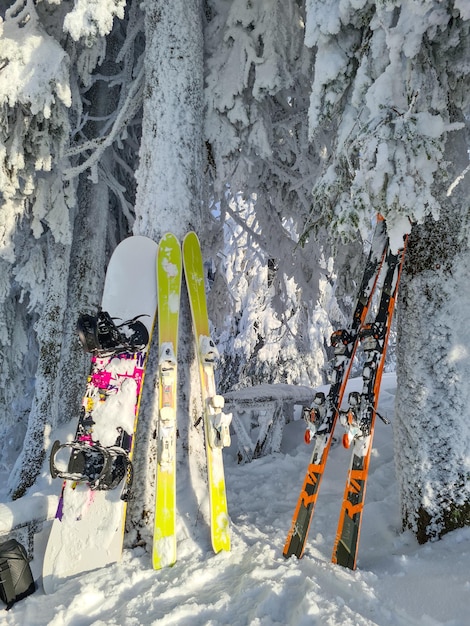 Foto snowboard und ski in der nähe von verschneiten kiefern nach einem schneesturmtag