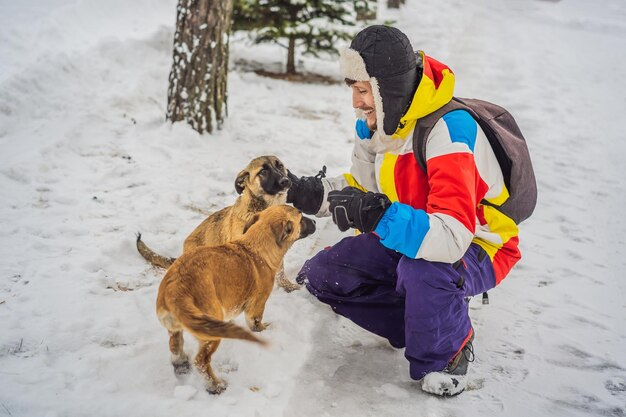 Snowboarder masculino jovem brinca com cachorros em uma estação de esqui no inverno