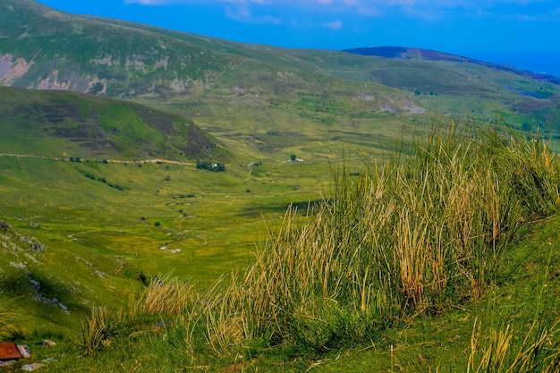 Snowdonia-Nationalpark Epische Aussicht auf Berge und Täler, die mit lebendigem Gras und weichem Moos bedeckt sind