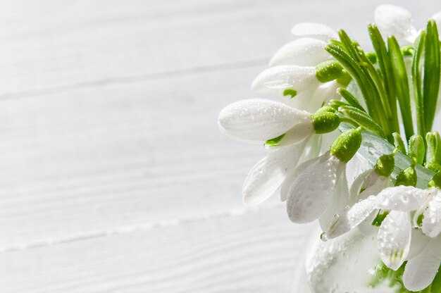 Snowdrops buquê na mesa de madeira. flores da primavera.