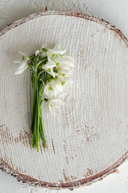 Snowdrops em fundo de madeira