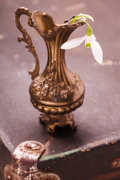 Snowdrops em vaso de bronze antigo