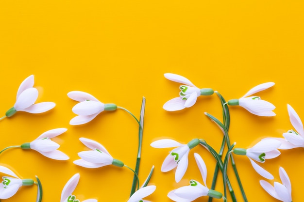 Snowdrops frescos em fundo amarelo com lugar para texto. Postura plana.