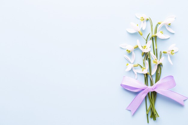 Snowdrops frescos sobre fundo azul com lugar para texto.