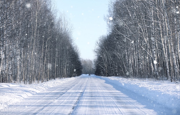 Snowy auf leerer Landstraße im Wald am Wintertag