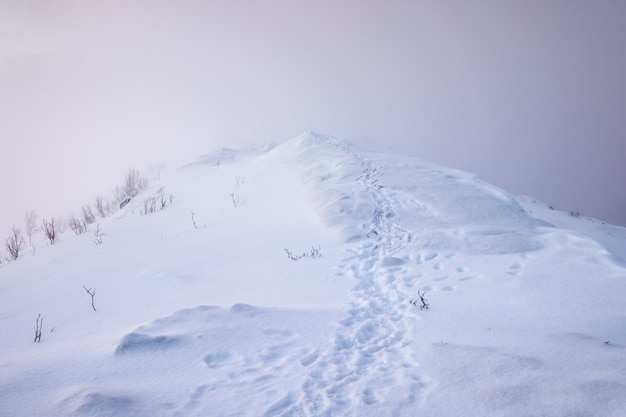 Snowy-Bergspitze mit Abdrücken