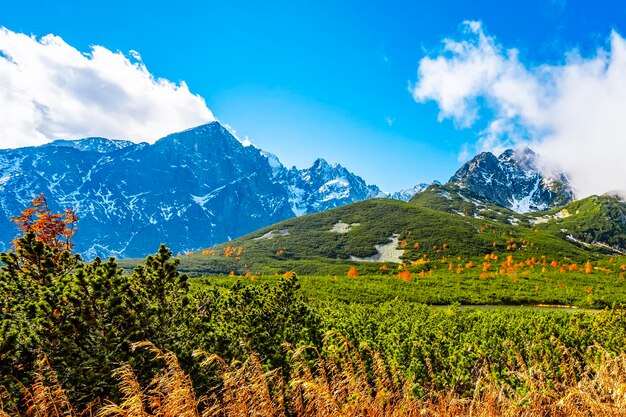 Snowy High Tatras con coloridos árboles de otoño Senderismo desde el lago zelene hasta la cabaña plesnivec cerca de la montaña Belianske Tatry Eslovaquia