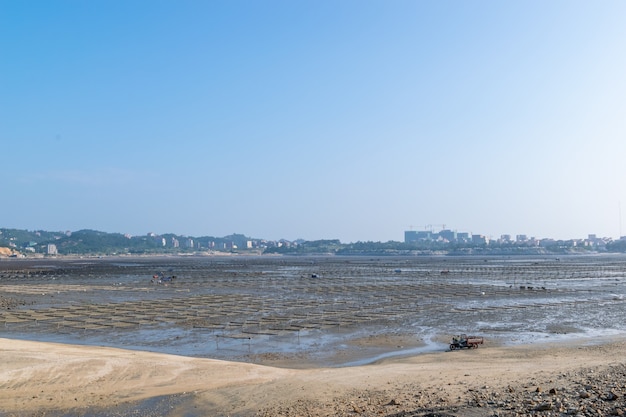 Sob o céu azul, as linhas e texturas de jangadas e cordas de bambu na fazenda de algas na praia