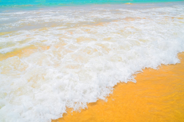 Sobre la arena amarilla hay una ola oceánica.