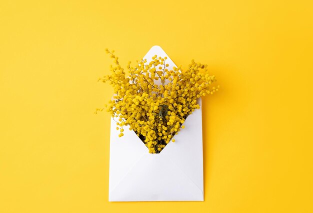 Sobre blanco abierto con flores de mimosa amarillas en un diseño de maqueta de fondo amarillo