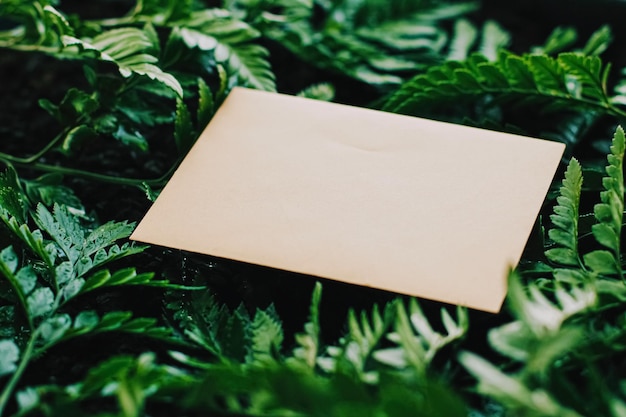 Sobre en blanco y hojas verdes en la tarjeta de papel natural como correspondencia de fondo y boletín informativo