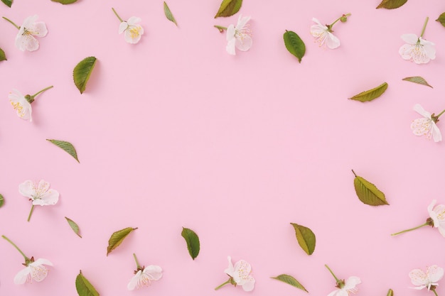 Sobre un fondo rosa de moda, flores de cerezo blancas y hojas verdes en forma de un patrón mínimo con espacio para copiar texto y una invitación a una boda o aniversario. Lay Flat minimalista moderno.