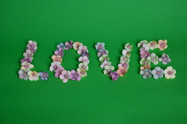 Sobre un fondo verde limpio, la palabra AMOR está forrada con flores multicolores en letras grandes.