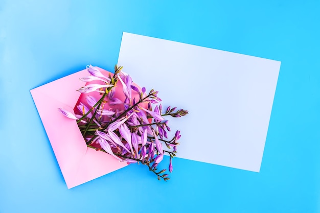 Foto sobre de papel rosa con flores frescas de jardín brillante y hojas de papel vacías sobre fondo azul claro. plantilla floral festiva. diseño de tarjetas de felicitación. vista superior.