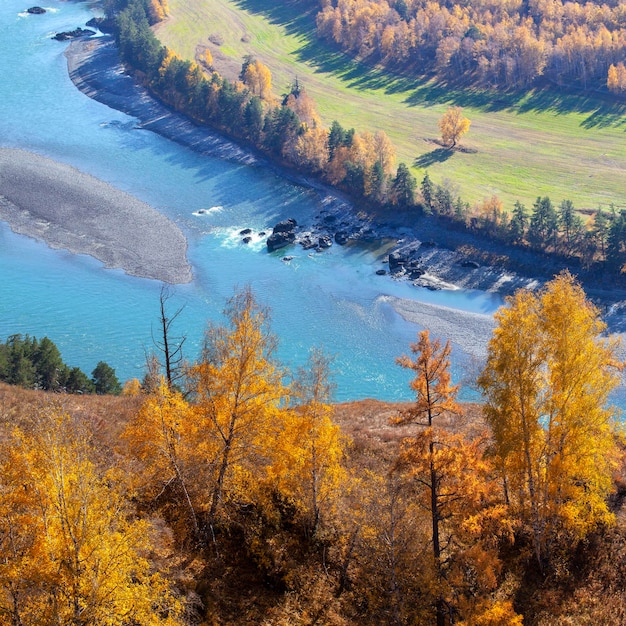 Sobre el río de montaña escénico otoño