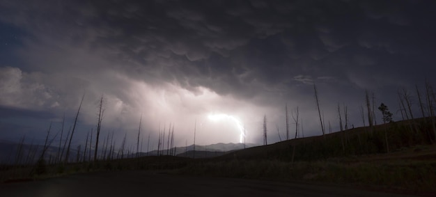 Sobre Tower Creek tormenta eléctrica relámpagos cae el Parque Nacional de Yellowstone