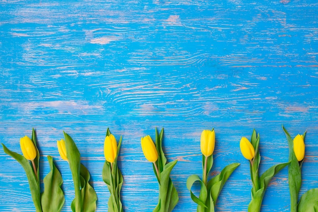 Sobrecarga de tulipanes sobre fondo de madera azul. copia espacio