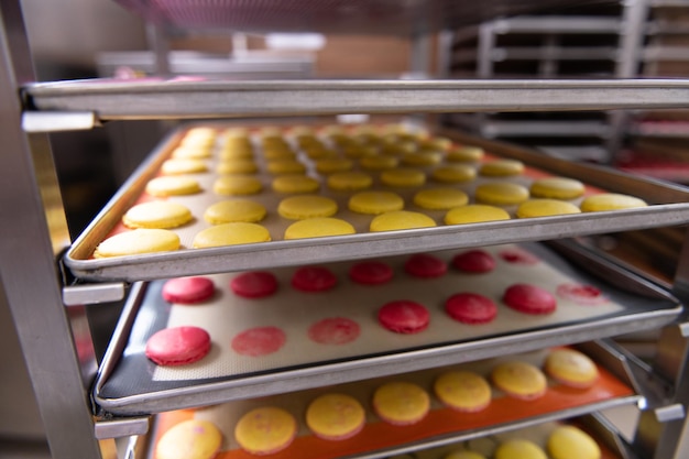 Sobremesa de macarons coloridos closeup na prateleira