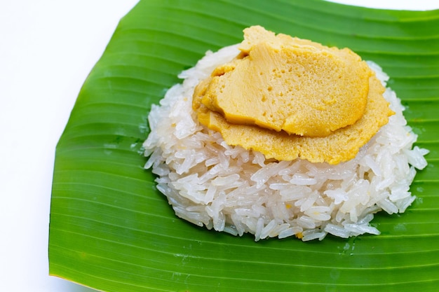 Sobremesa tailandesa Arroz doce com creme de ovos