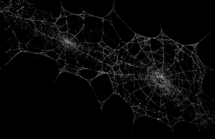 Foto sobreposição da textura da teia de aranha