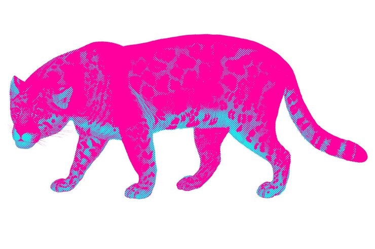 Foto sobreposição de adesivo de estilo jaguar funky desenhado à mão