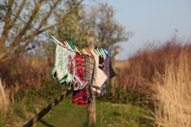 Socken trocknen auf dem Feld