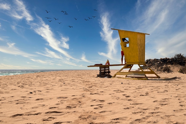 Socorrista observando a los bañistas en la playa con sus binoculares