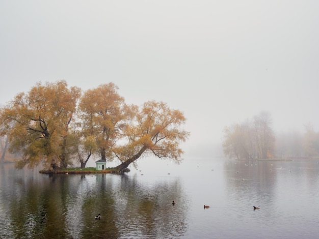 Soft-Fokus Morgennebel auf dem See Mystische Herbstlandschaft am Morgen mit Nebel über dem See Nebelige Herbstlandschaft