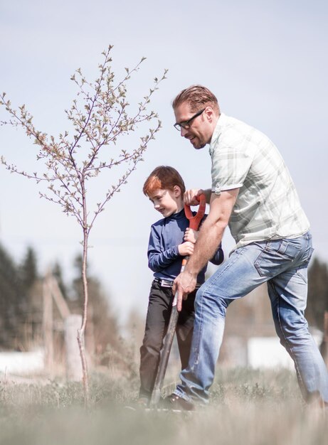 Sohn und Vater pflanzen gemeinsam einen Baum