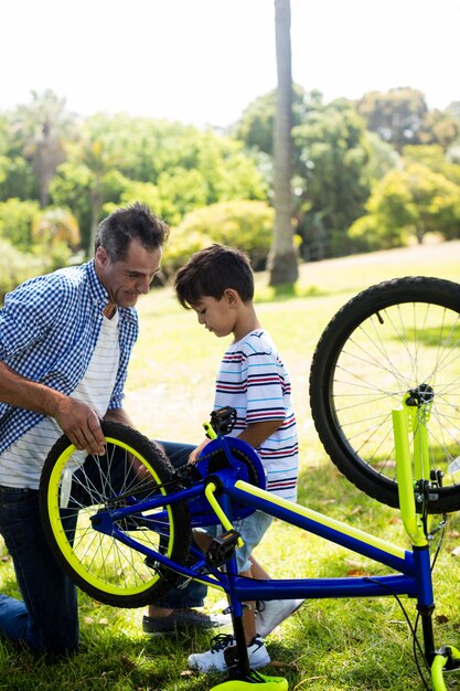 Sohn und Vater reparieren ihr Fahrrad im Park