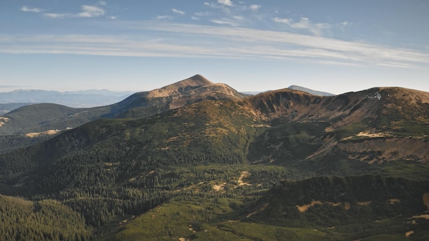 Foto sol aéreo bosque de pinos de montaña paisaje natural de nadie en un día soleado de otoño bosque de abetos verdes