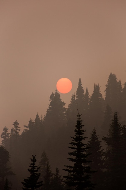 El sol ahumado
