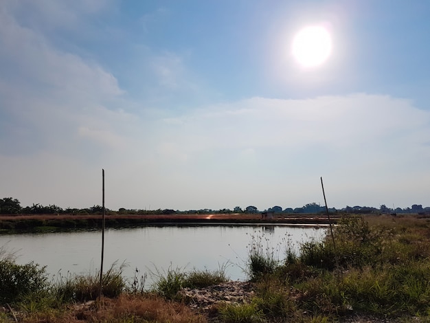 Sol brilhando sobre o lago de camarão