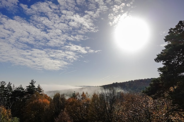 Sol brilhante no céu com árvores coloridas no outono