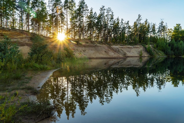 Foto el sol brilla intensamente a través de los árboles en la orilla del lago