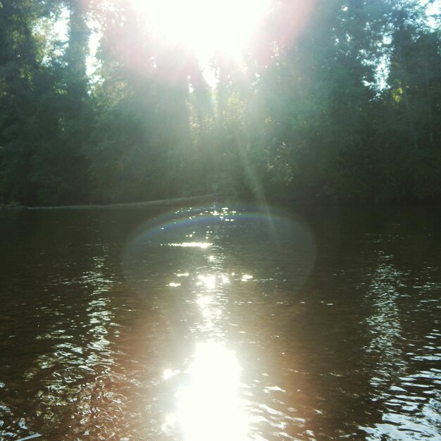 Foto el sol brilla sobre el río