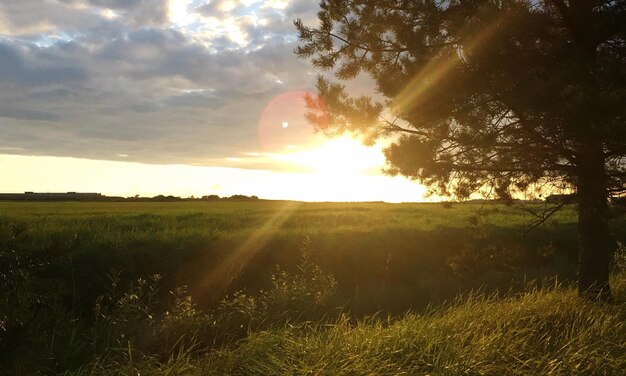 Foto el sol brilla a través de las nubes sobre el campo de hierba