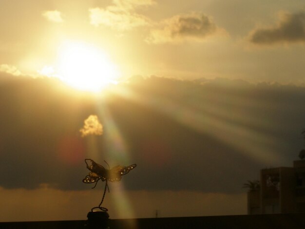 Foto el sol brilla a través de las nubes