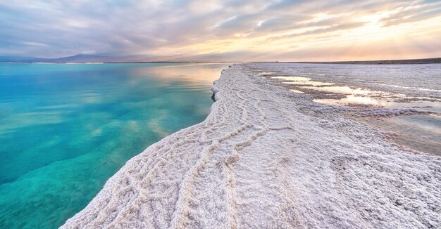 Sol da manhã brilha em formações de cristais de sal, água calma verde ciano clara perto, paisagem típica na praia de Ein Bokek, Israel