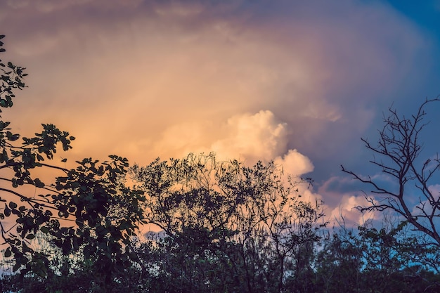 Foto sol de fondo entrando en nubes rosadas