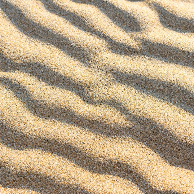 Sol inconsútil de la textura de la arena del mar del verano