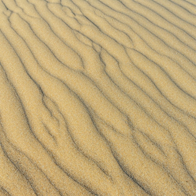 Sol inconsútil de la textura de la arena del mar del verano