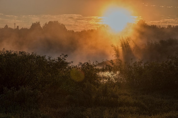 Sol nascente sobre o rio coberto de árvores Foco suave