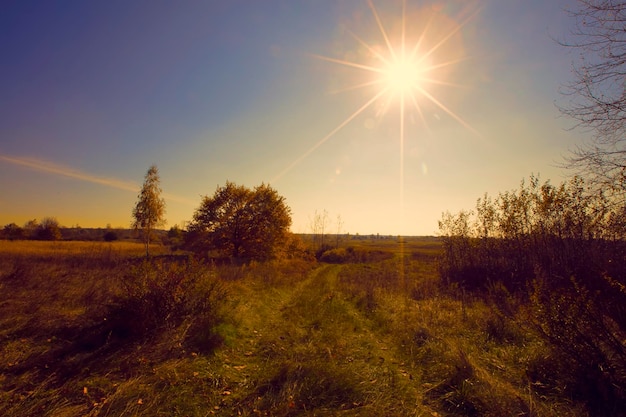 El sol poniente contra el fondo de la carretera y los árboles.