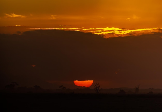Sol rojo y puesta de sol en sabana con cielo naranja y siluetas oscuras de arbustos y árboles. Amboseli na