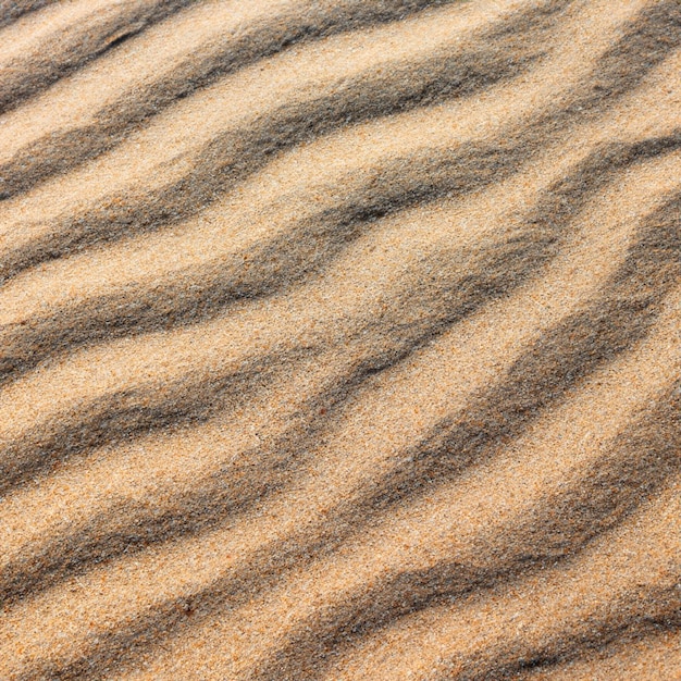 Foto sol sem costura de textura de areia do mar de verão