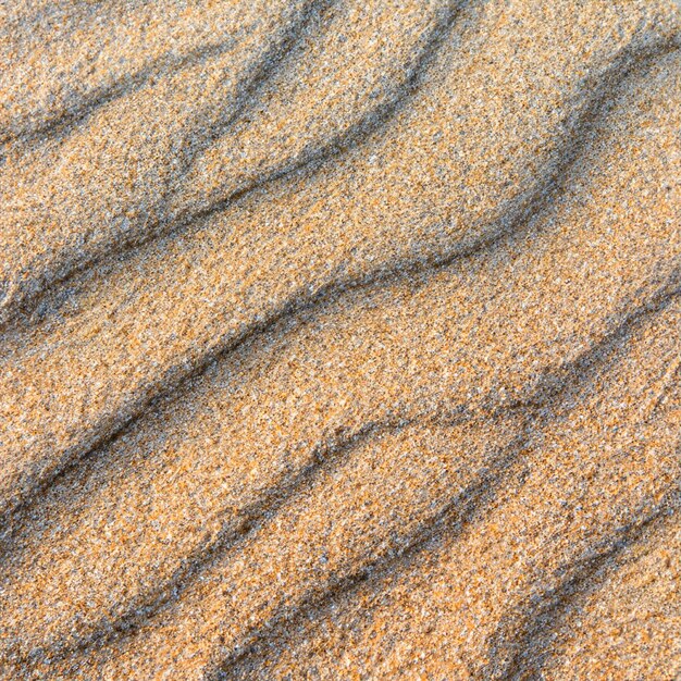 Foto sol sem costura de textura de areia do mar de verão